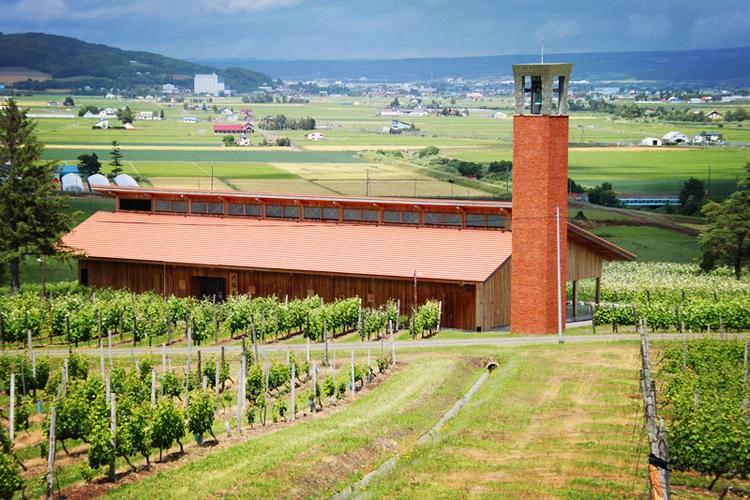 葡萄酒愛好者們看這里!北海道葡萄酒廠攻略
