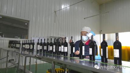 六十七團(tuán):延伸釀酒葡萄全產(chǎn)業(yè)&ldquo;鏈動&rdquo;區(qū)域經(jīng)濟(jì)大發(fā)展