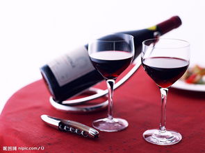 法國原裝紅酒進(jìn)口全流程解析 從報(bào)關(guān)商檢到市場銷售